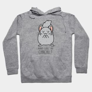 Wanna cuddle and chinchill? Hoodie